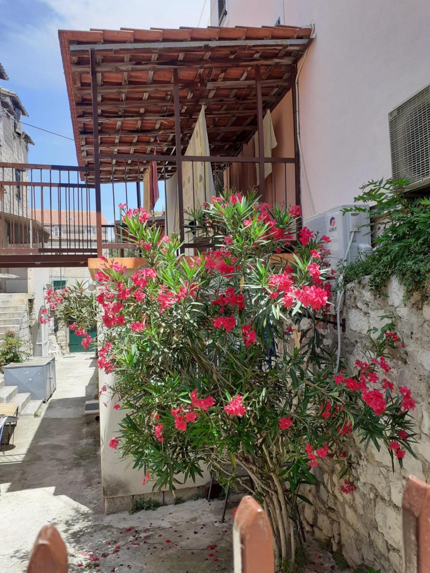 Oleander Apartments Split Ngoại thất bức ảnh
